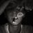 mmarcusberg's profile image
