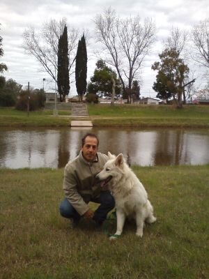 abogado de pergamino