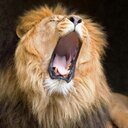 13beliefs (@13beliefs) Twitter