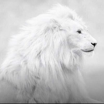 Mon Meilleur, Ma Vie !!!    #GSymons #killa #Team973 #Team972
