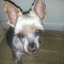 Jackie Ruskey - @RuskeyJackie - Twitter