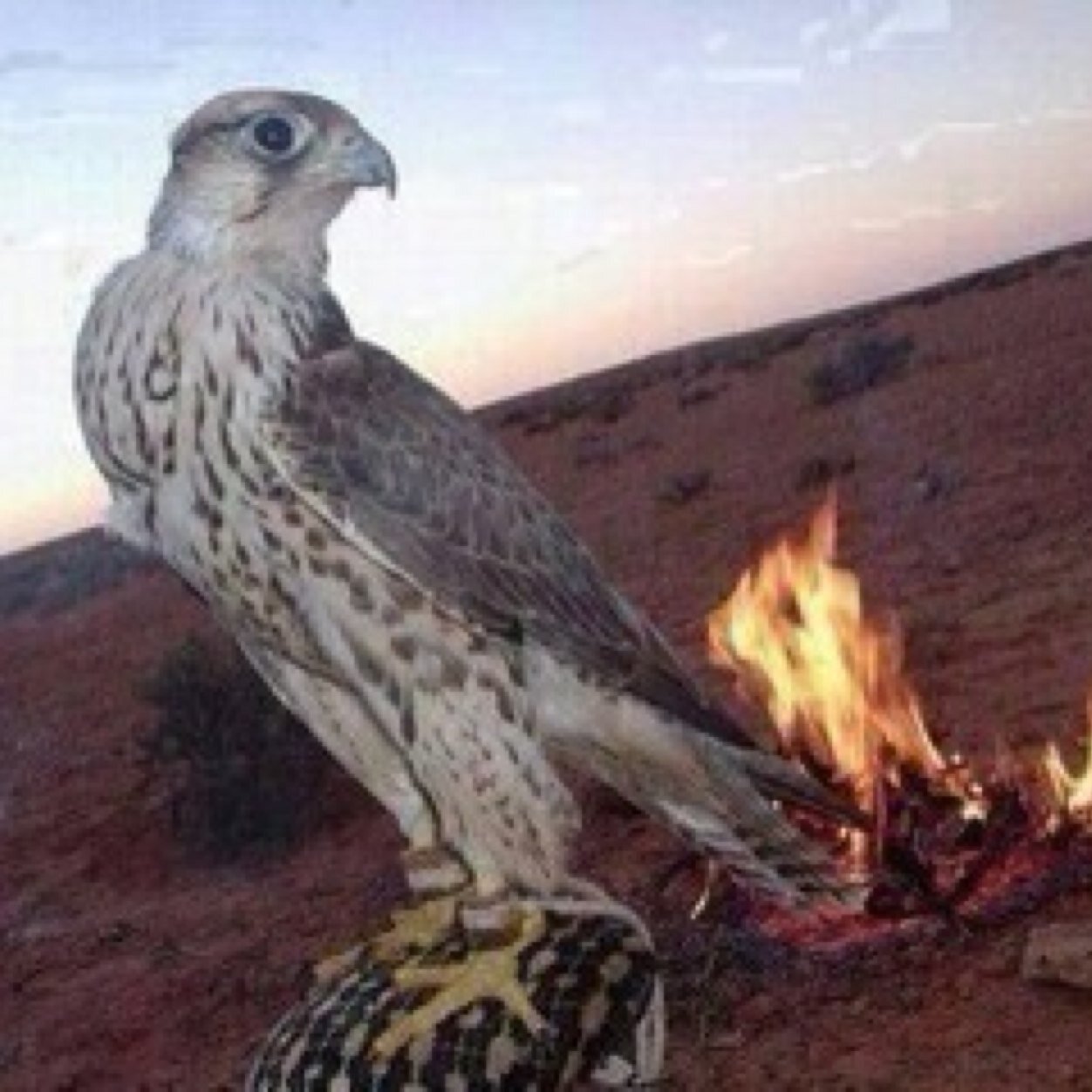 استغفر الله