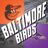 Baltimore Birds