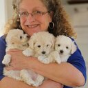 Daryl Conner - @FairWindsgroom - Twitter