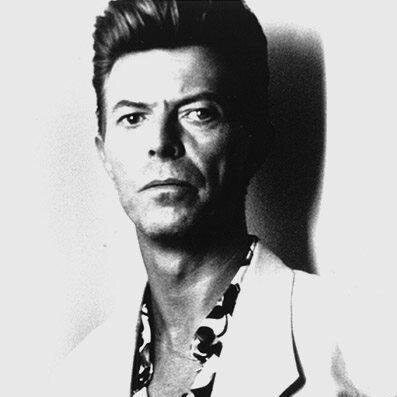 Morphylogeny updates