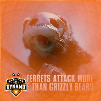 Jeff Strong (@dynamocooligan) 's Twitter Profile