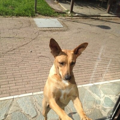 stebe70's profile picture. 