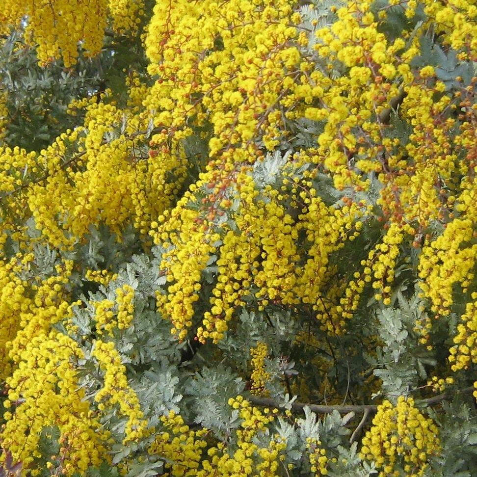 prensambiente's profile picture. Por aquí twitearemos! Los trabajos están en @AmbienteDaniel Bienvenidos!