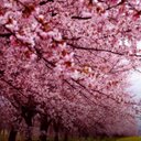 Candace - @Kandy_Woods - Twitter