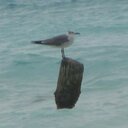 Daniel Stange - @danielcstange - Twitter