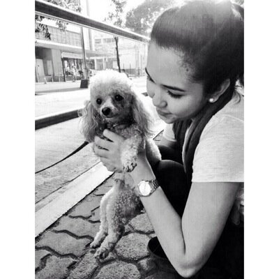 Obsessed with poodles.