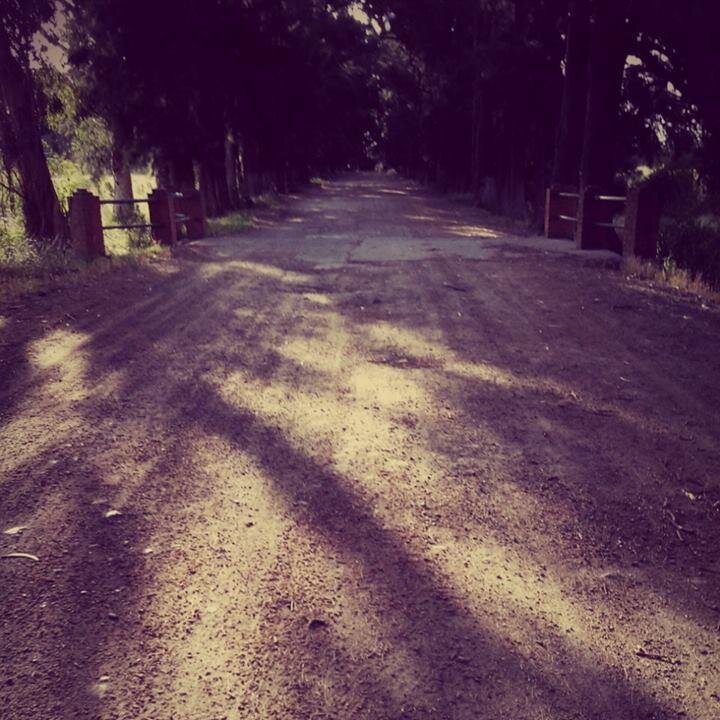 TipicosYFrase's profile picture. 