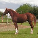 colt rogers  - @RogersColt - Twitter