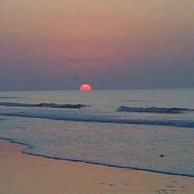 nyreneemarie's profile picture. 