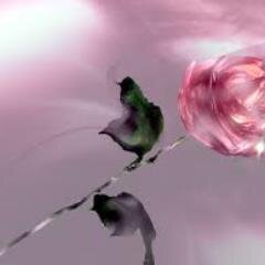 computerm's profile picture. 