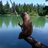 bloskojezero's profile image