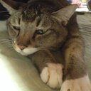 Fumiya (@238Bu) Twitter