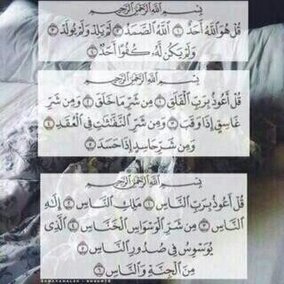 CoShooshoo21's profile picture. 