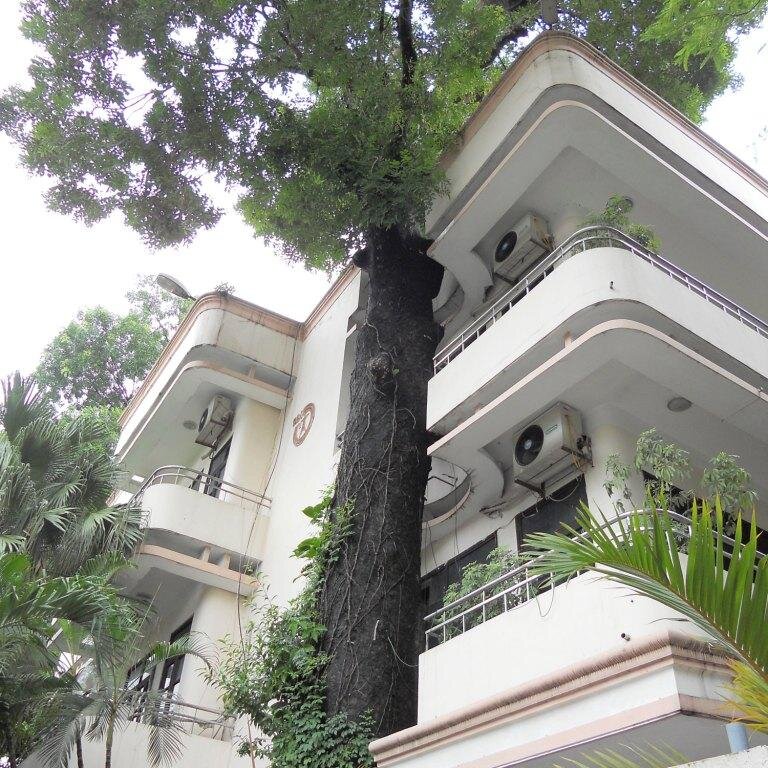 Arboricultural expert & watcher of what trees 🌲 do to people