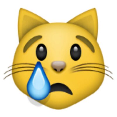 🏳️⚧️•💛🤍💜🖤 — Juparian sad cat meme icons for @voxinsocks