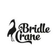 Five-piece electro-acoustic covers band in Hertfordshire | Instagram @bridle_crane