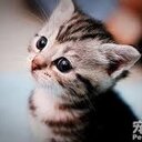 Han Jiao - @hanjiao007 - Twitter