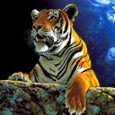 sergio maier - @MaierSergio - Twitter