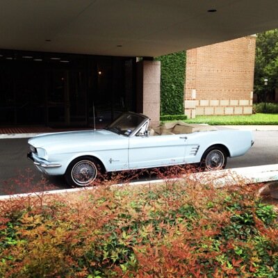 lowenberglaw's profile picture. Trial lawyer and trustee for the John M. O’Quinn Foundation