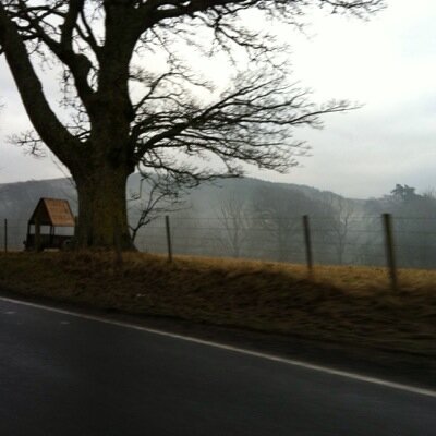 NicoleStewrat's profile picture. 