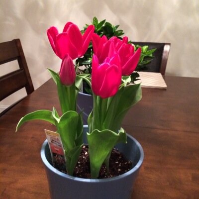 VimalJhaVA's profile picture. Love, Live & Lough. Busy life n loving it!!!