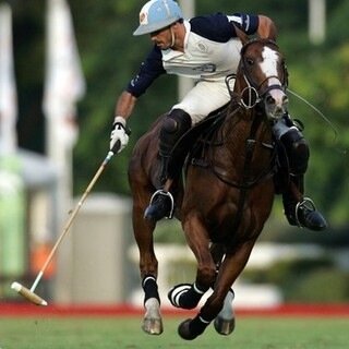 AkollyC's profile picture. 