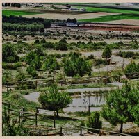 Turismo Camporrobles (@tcamporrobles) 's Twitter Profile