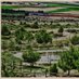 Turismo Camporrobles (@tcamporrobles) Twitter profile photo Turismo Camporrobles (@tcamporrobles) Twitter profile photo