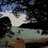 TraceySpragg's profile image