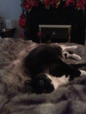 SandraMacPherso's profile picture. 