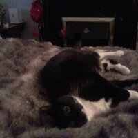 Sandra MacPher #FBPE 3.5 (@sandramacpherso) 's Twitter Profile