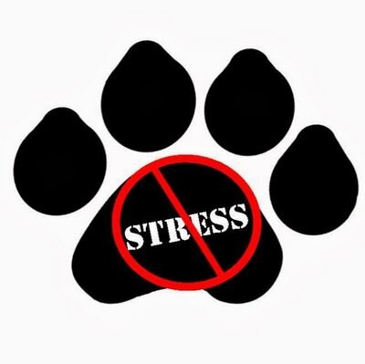 No Stress Pets Profile