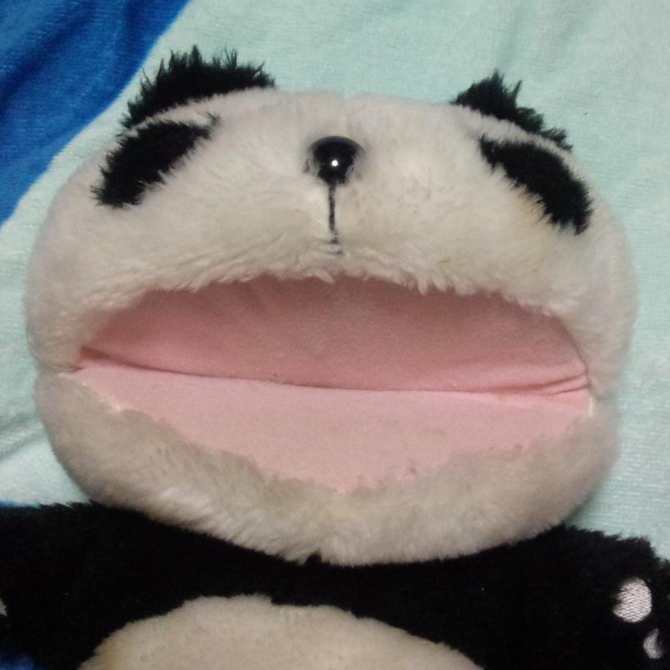 zvq03146's profile picture. 水泳と美女をこよなく愛する者です水着美女を紹介していきます　気に入ったらRT !　　BASSもやってます( ^^) _旦~~