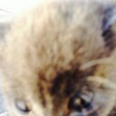 か (@02050309) Twitter