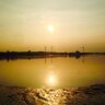 bonser_rich's profile picture. Local London and Kent coast birding to rarities - enjoy windswept remoteness or where the gulls hang out. Dad to little Rosie & 572 BOU/IRBC.