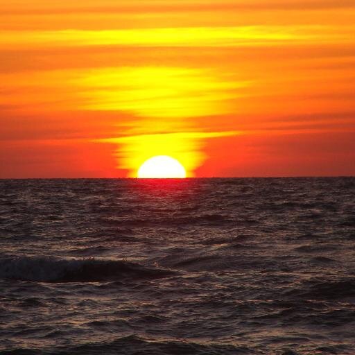 rusty_skippa's profile picture. 