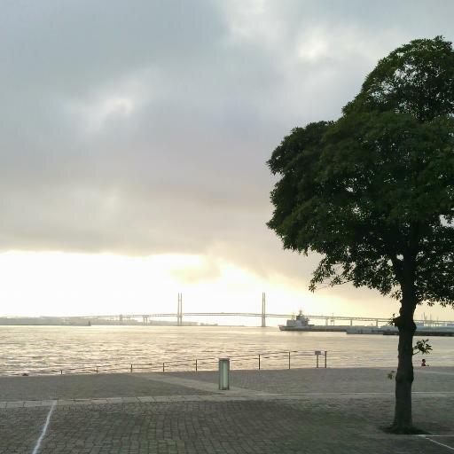 kurofune1872's profile picture. 専修→スポ科→文構
/早稲田/応援部