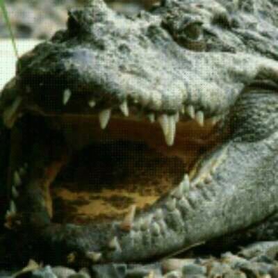 luismendezquev4's profile picture. 