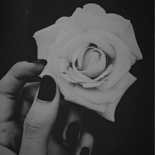 Alisha | 15yo | debsueperrycat | La tristesse c'est la solitude du coeur | Insta : AlishaMaily