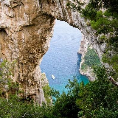 treerichosu's profile picture. 