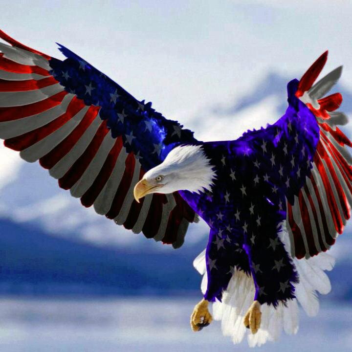 God,family,country. #Trump
American trumpet blog will be connected soon.