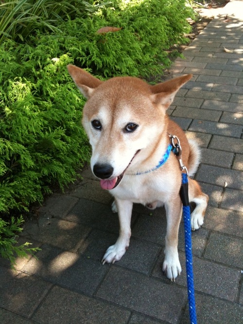 ku_saito's profile picture. 