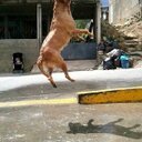 marcel delgado - @marceldelgadop - Twitter