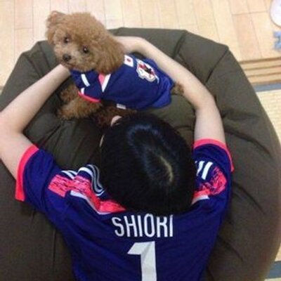 uk＠ツイ減中