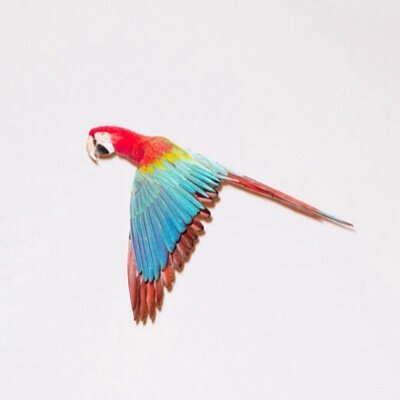 ChildJulia7's profile picture. 